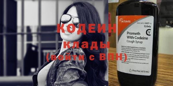 индика Арсеньев