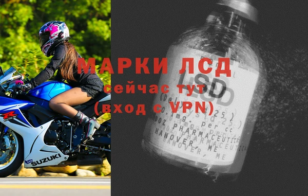 PSILOCYBIN Аркадак