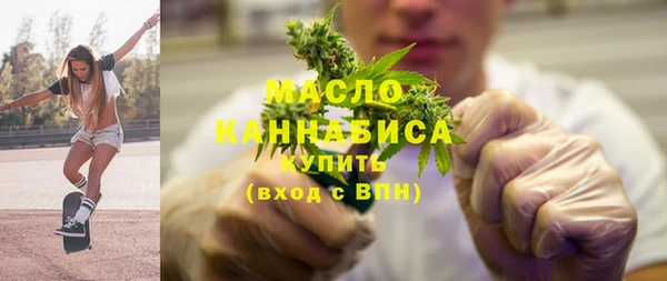 индика Арсеньев