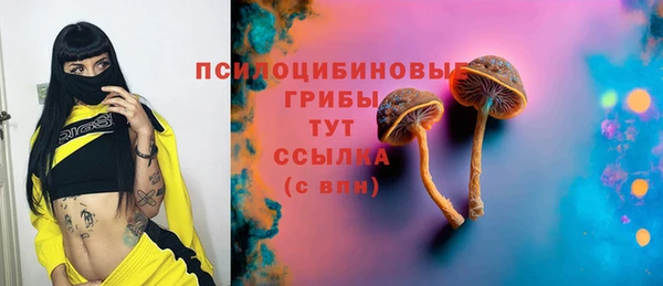 прущие крисы Армянск