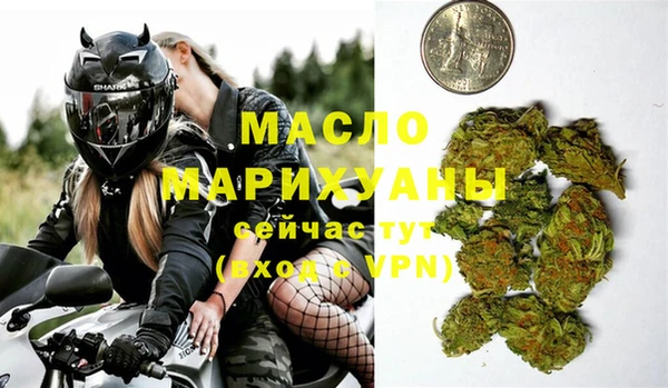 индика Арсеньев