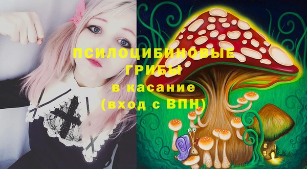 PSILOCYBIN Аркадак