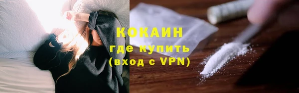 индика Арсеньев