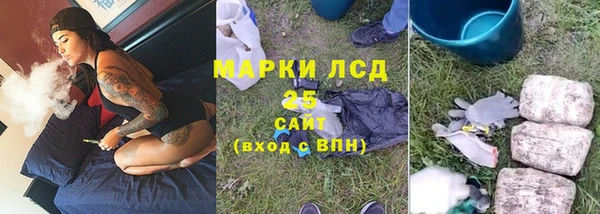 индика Арсеньев