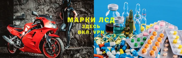 PSILOCYBIN Аркадак