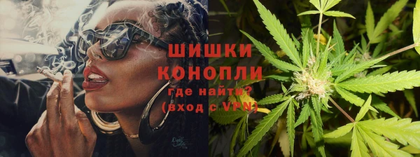 индика Арсеньев