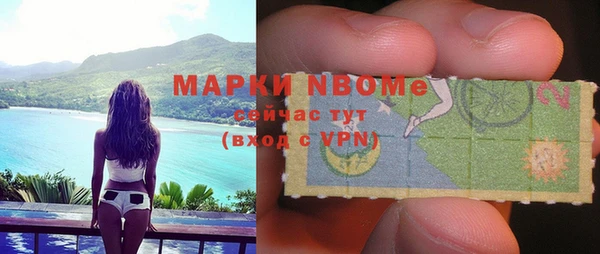 индика Арсеньев