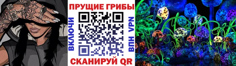 Галлюциногенные грибы Psilocybe  Нягань 